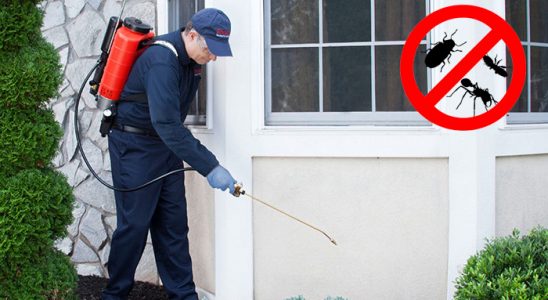 Atakent Pire İlaçlama böcek ilaçlama ve haşere kontrolü — ilaclama-tr.com